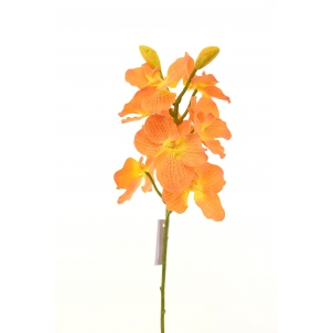 Орхидея Ванда 68 см