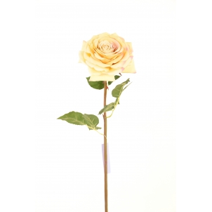 Роза 65 см