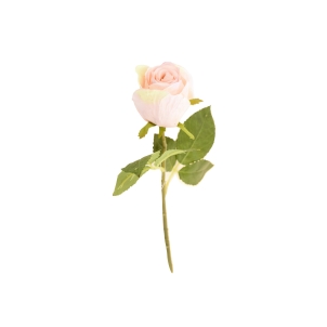 Роза 20 см