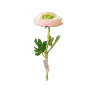 Ranunculus 32 cm, crem