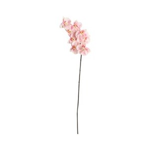 Orhidee 94 cm