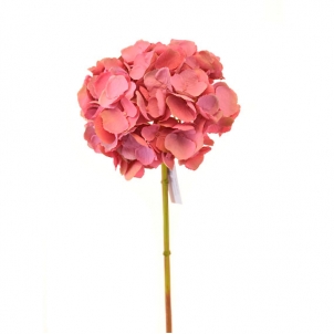Гортензия Макрофила розовая 46 см