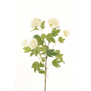 Hortensia arborelui 98 cm 5 înflorescențe