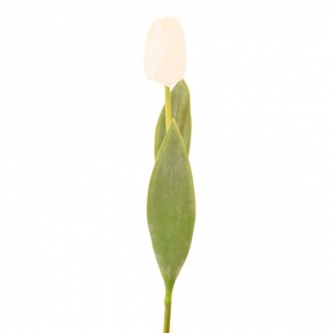 Тюльпан белый 60 см