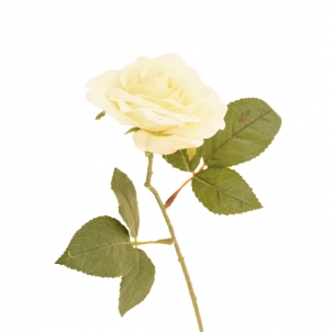Роза Колибри белая 20 см