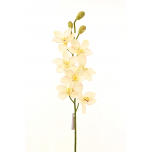 Орхидея Цимбидиум 94 см 