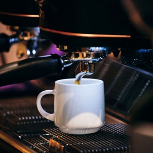 Чашка INTENSITY BARIL 250 мл