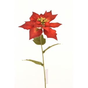 Poinsettia 75 cm