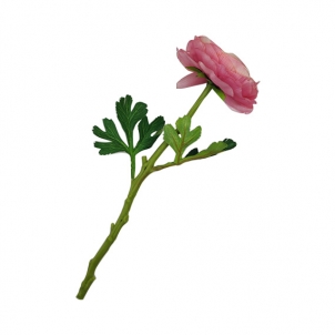 Ranunculus 32 cm