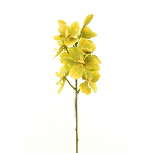 Орхидея Ванда 68 см 