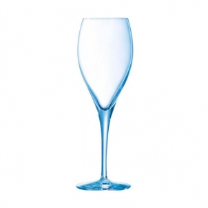 Набор бокалов для шампанского OENOLOGUE EXPERT 260 ml