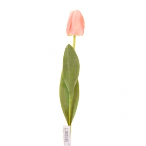 Тюльпан розовый 60 см