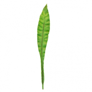 Лист зеленый 66 см