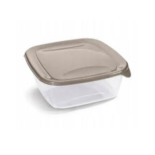 Контейнер квадратный с крышкой FRESH&GO 0,25 л