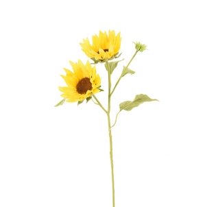 Floarea soarelui 50 cm
