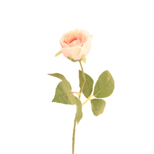 Trandafir Patio 20 cm, roz