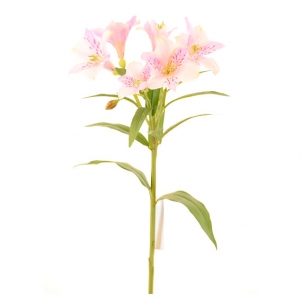 Лилия розовая 63 см