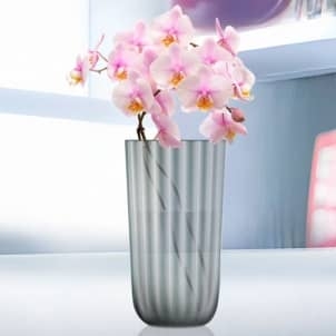 Ваза MAGIYA GRAPHIT 19 см