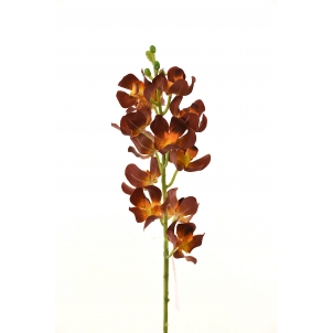 Орхидея Цимбидиум 47 см