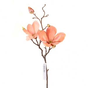 Magnolia ramura 50 cm roz