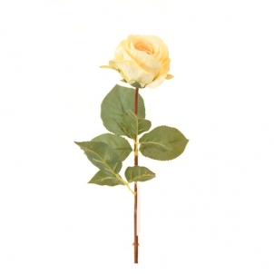 Роза 54 см