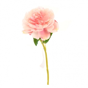 Bujor 34 cm roz-deschis