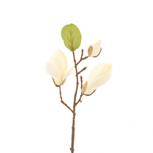 Ramură Magnolia 28 cm, alba