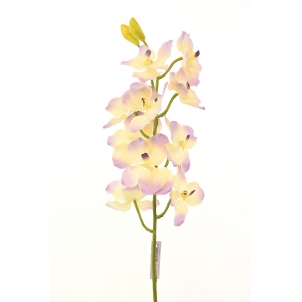 Орхидея Ванда 80 см