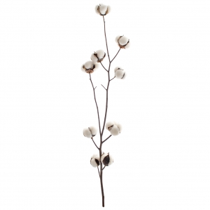 Ramură Cotton 9 flori