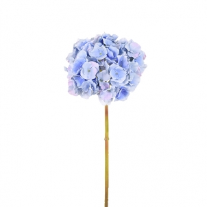 Hortensie 45 cm, albastru-deschis