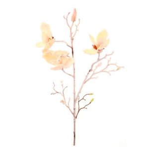 Magnolia ramură de iarnă 86 cm