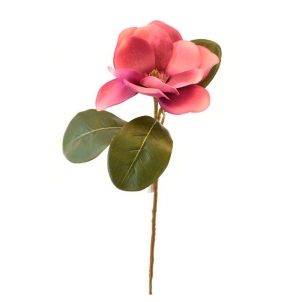 Magnolia 70 cm roz